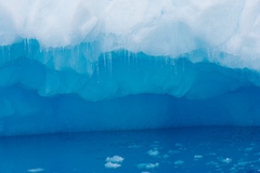 Antarctica 16