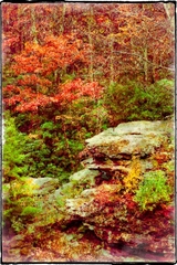 Babcock State Park WV 05