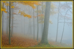 Babcock State Park WV 08