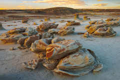 Bisti De Na Zin Wilderness NM 04