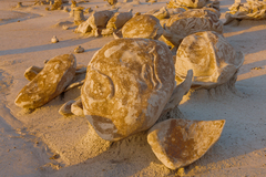 Bisti De Na Zin Wilderness NM 05