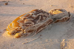 Bisti De Na Zin Wilderness NM 10