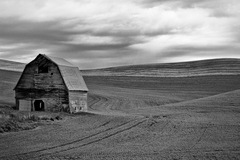 Palouse - 03