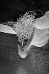 Lower Antelope Canyon, Page, AZ - 02