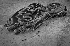 Bisti Wilderness Area, NM - 01