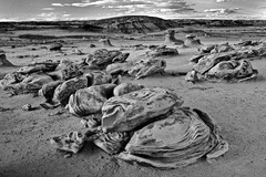 Bisti Wilderness Area, NM - 02
