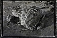 Bisti Wilderness Area, NM - 03