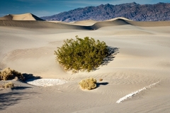 Death Valley CA 16