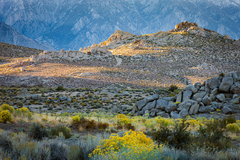 Eastern Sierra 21