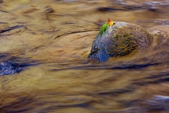 Great Smoky Mountains TN NC 08