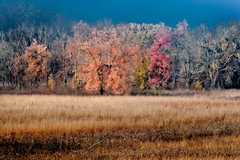 Great Smoky Mountains TN NC 09