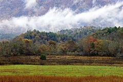 Great Smoky Mountains TN NC 11