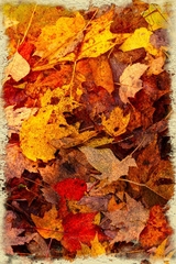 Great Smoky Mountains TN NC 23