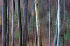 Great Smoky Mountains TN NC 27