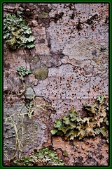 Great Smoky Mountains TN NC 28