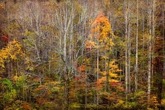 Great Smoky Mountains TN NC 32