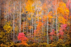 Great Smoky Mountains TN NC 33