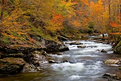 Great Smoky Mountains TN NC 34
