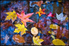 Great Smoky Mountains TN NC 35