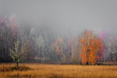 Great Smoky Mountains TN NC 38