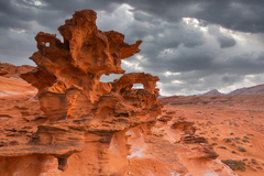 Little Finland Nevada 11