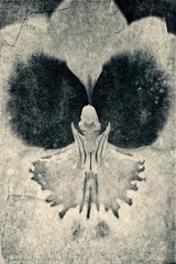 Longwood Gardens Kennett Square PA 06