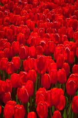 Longwood Gardens Kennett Square PA 08