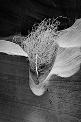 Lower Antelope Canyon Page AZ 08