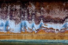 My Small World Macrophotography 04