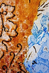 My Small World Macrophotography 06