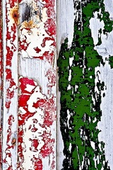 My Small World Macrophotography 07