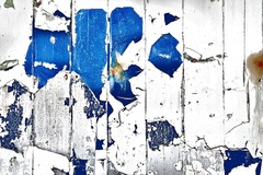 My Small World Macrophotography 08