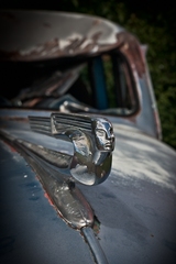 My Small World Macrophotography 09