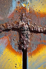 My Small World Macrophotography 10