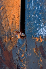 My Small World Macrophotography 11