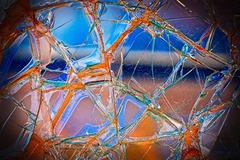 My Small World Macrophotography 13