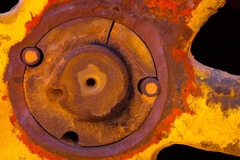 My Small World Macrophotography 14