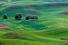 Palouse WA 02