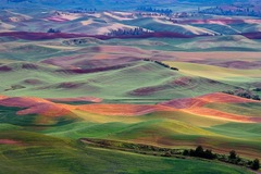 Palouse WA 03