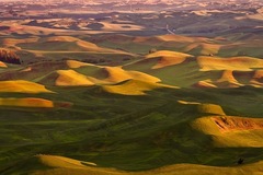Palouse WA 04