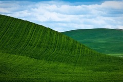 Palouse WA 13