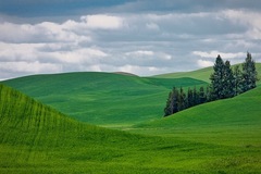 Palouse WA 14