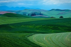Palouse WA 15
