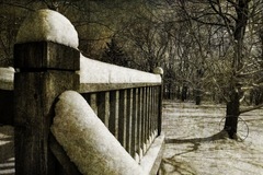 Potpourri Of Images 05