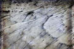 Potpourri Of Images 06