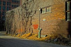 Potpourri Of Images 08