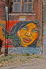 Potpourri Of Images 12