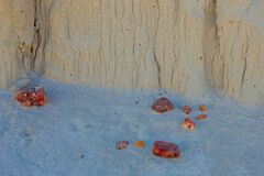 Wahweap Escalante NM 05