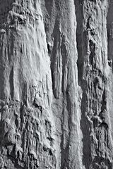 Wahweap Escalante NM 09