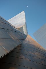 Walt Disney Concert Hall LA CA 06